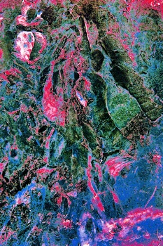 A 328D